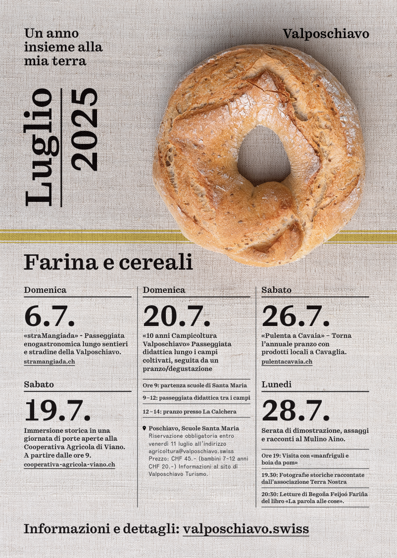 Manifesto Lulgio